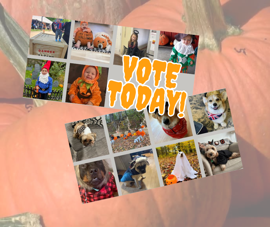 Vote Today